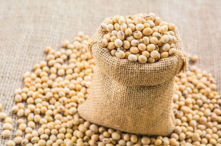 Soya Bean