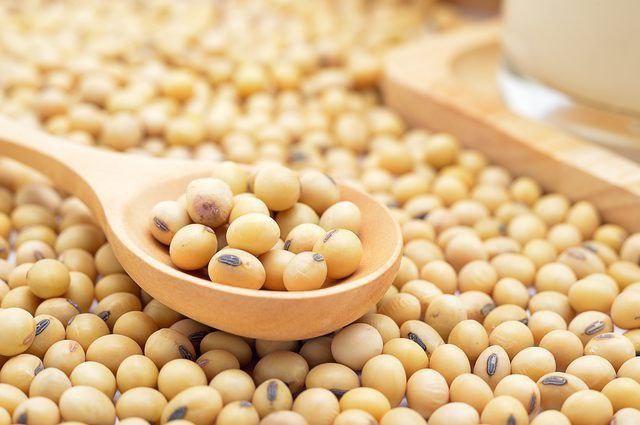 Soya Bean