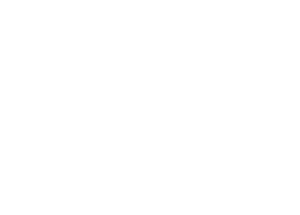 Tungsten Import Export